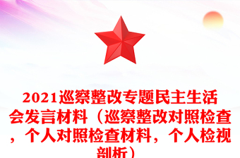 2021巡察整改专题民主生活会发言材料（巡察整改对照检查，个人对照检查材料，个人检视剖析）