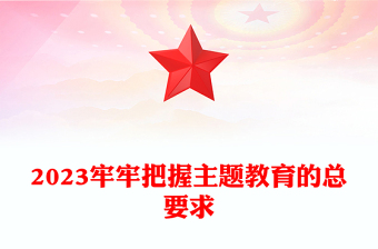 2023牢牢把握主题教育的总要求PPT学思想强党性重实践建新功党内主题教育党课(讲稿)