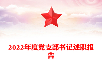 2022年度党支部书记述职报告