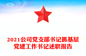 2021公司党支部书记抓基层党建工作书记述职报告