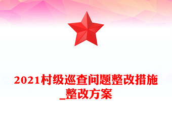 2021村级巡查问题整改措施_整改方案