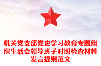 机关党支部党史学习教育专题组织生活会领导班子对照检查材料发言提纲范文