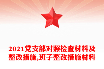 2021党支部对照检查材料及整改措施,班子整改措施材料