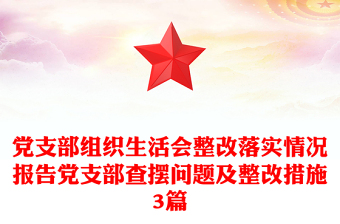 党支部组织生活会整改落实情况报告党支部查摆问题及整改措施3篇