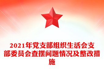 2021年党支部组织生活会支部委员会查摆问题情况及整改措施