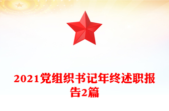 2021党组织书记年终述职报告2篇