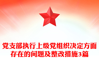 党支部执行上级党组织决定方面存在的问题及整改措施3篇