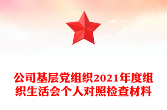 公司基层党组织2021年度组织生活会个人对照检查材料