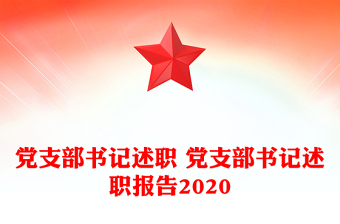 2025年党支部书记述职ppt免费模板