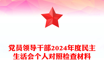 党员领导干部2024年度民主生活会个人对照检查材料汇总