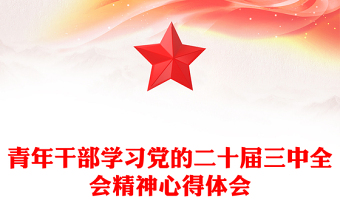 青年干部学习党的二十届三中全会精神心得体会范例