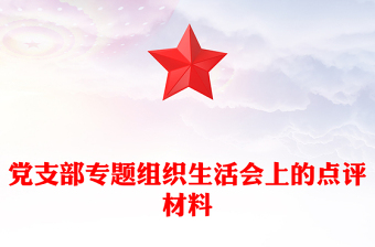 党支部专题组织生活会上的点评材料汇总