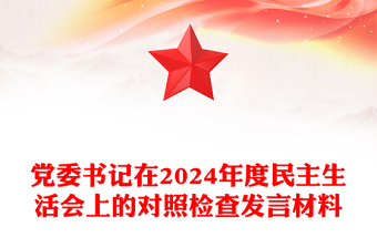 党委书记在2024年度民主生活会上的对照检查发言材料汇总