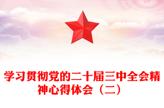 学习贯彻党的二十届三中全会精神心得体会（二）范例