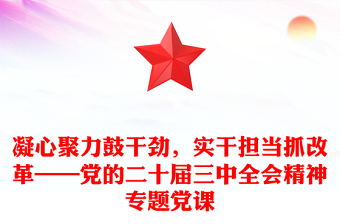 凝心聚力鼓干劲，实干担当抓改革——党的二十届三中全会精神专题党课范例