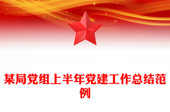 2025某局党组上半年党建工作总结PPT模板(讲稿)