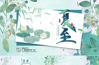 国风中国传统24节气夏至PPT课件模板