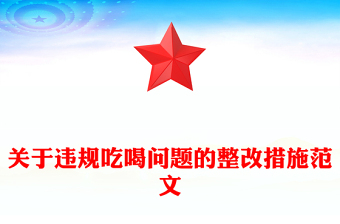 2025关于违规吃喝问题的整改措施PPT全面从严治党课件(讲稿)