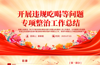 简洁实用开展违规吃喝等问题专项整治工作总结PPT模板