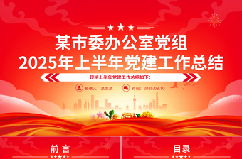 党建风某市委办公室党组2025年上半年党建工作总结PPT模板