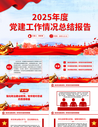 简洁实用2025年度党建工作情况总结报告PPT模板下载